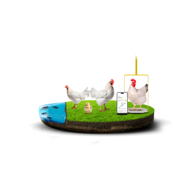 Software de Gestão Zootécnica para Piscicultura